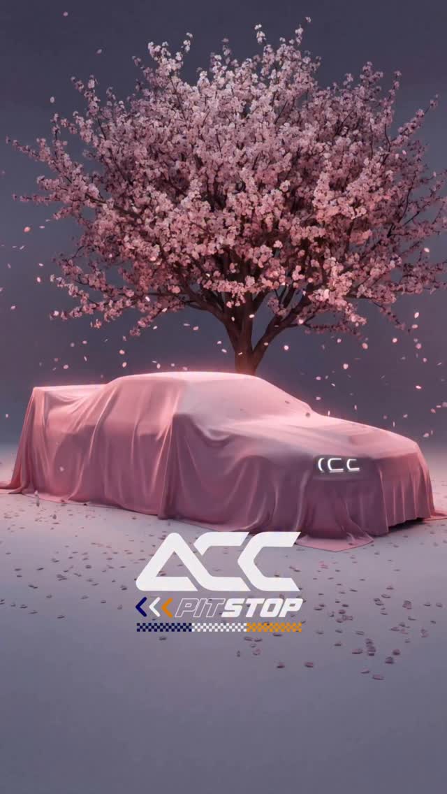 KIYOMI - Sakura R34 Reveal — JDM car meet in Perth, WA on Friday 23 January 2026
