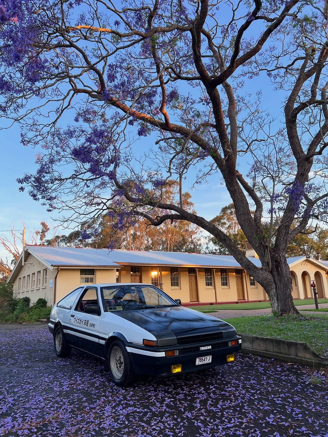 Wiseguys Shop Pre-Meet & Cruise — JDM car meet in Sydney, NSW on Sunday 17 May 2026