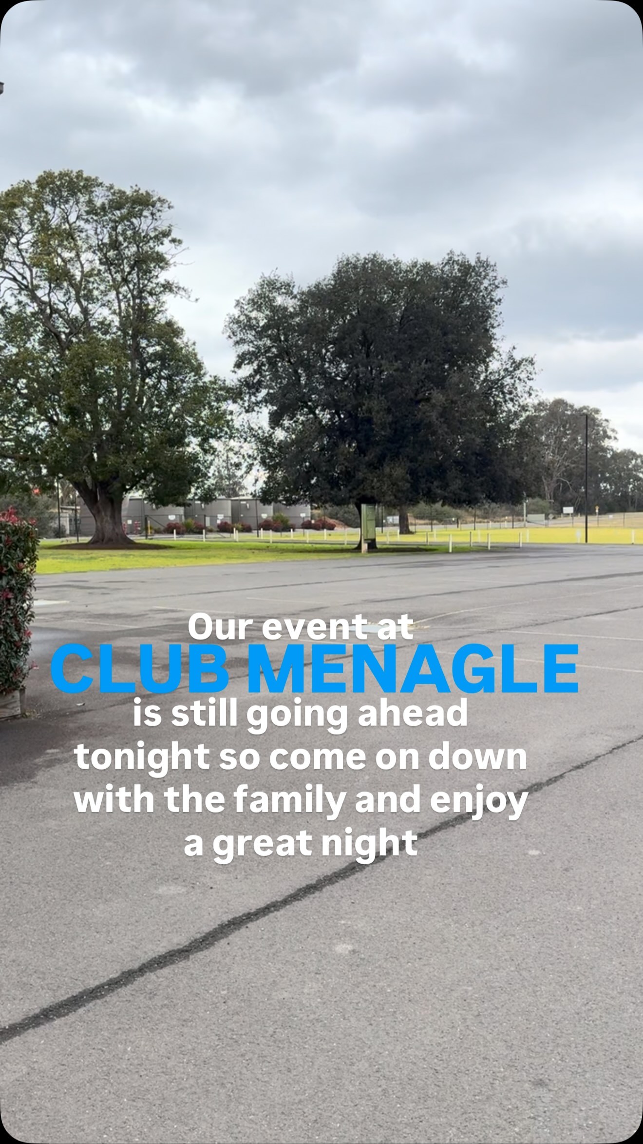 Cars Under the Stars at Club Menangle — car meet in Sydney, NSW on Saturday 15 August 2026