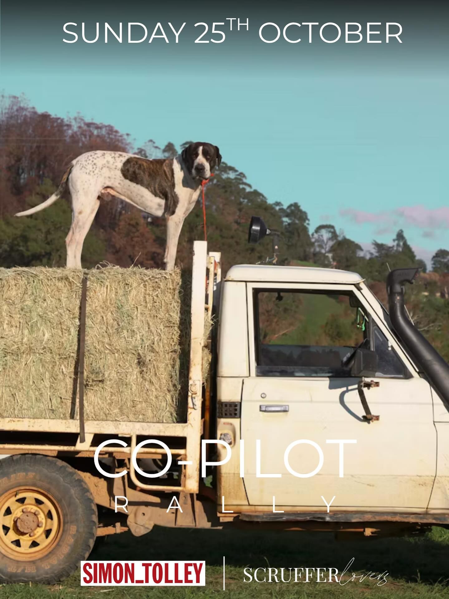 Co-Pilot Rally — Classic/Exotic car meet in Adelaide, SA on Sunday 25 October 2026