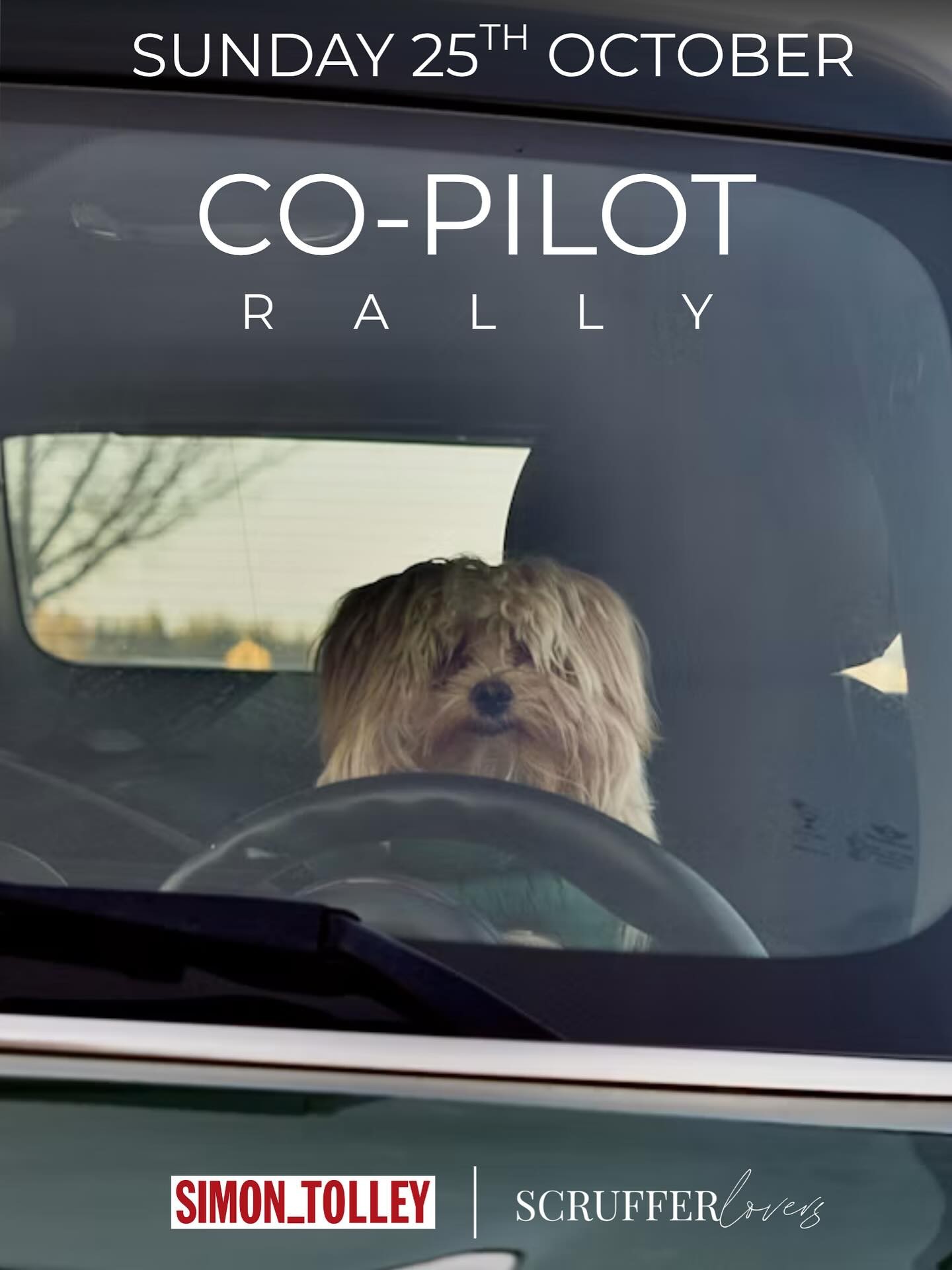 Co-Pilot Rally — Classic/Exotic car meet in Adelaide, SA on Sunday 25 October 2026
