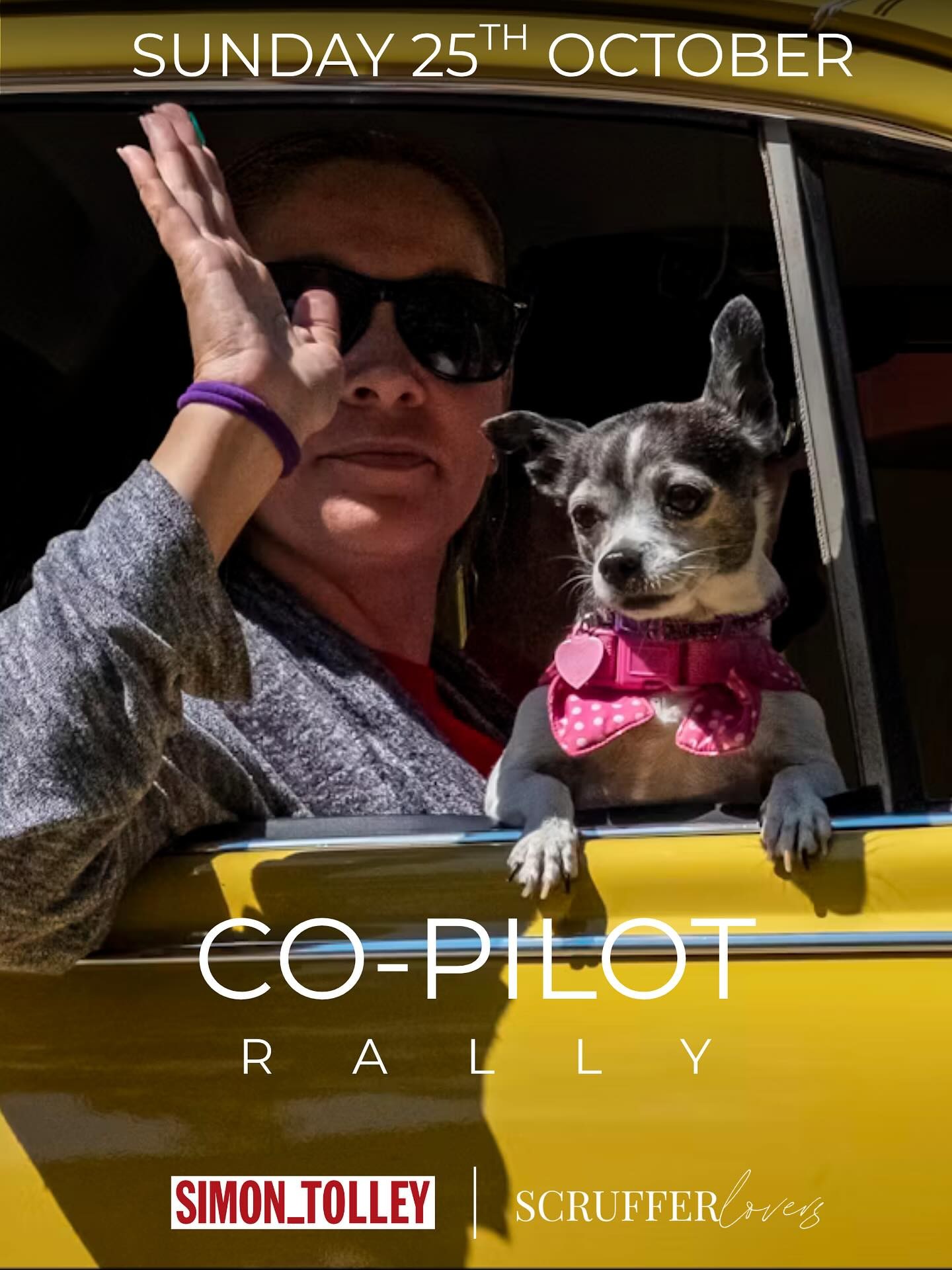 Co-Pilot Rally — Classic/Exotic car meet in Adelaide, SA on Sunday 25 October 2026