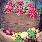Visit the Lockyer Valley