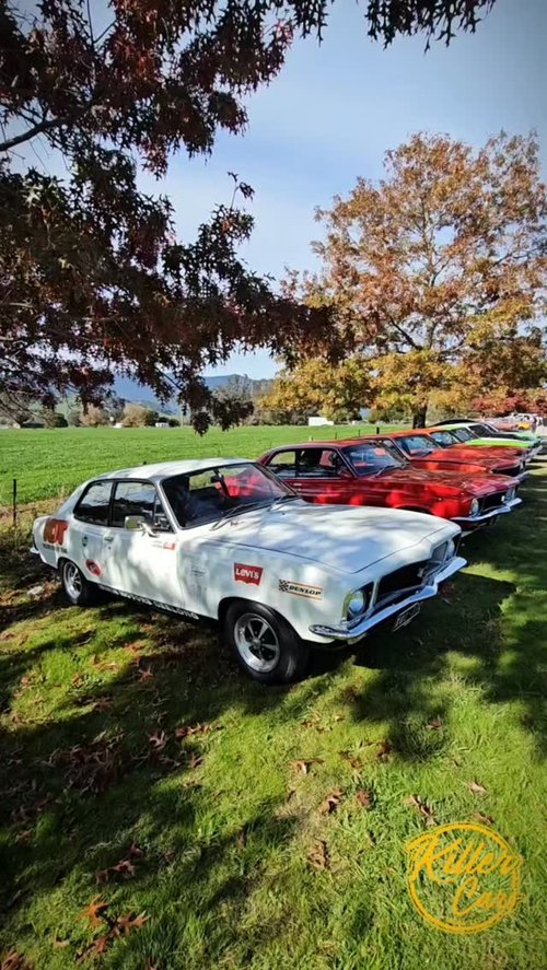 Muscle on the Murray Show & Shine — Muscle/Classic car meet in Albury, NSW on Sunday 17 May 2026