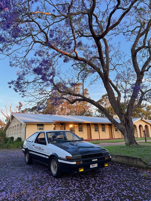 Wiseguys Shop Pre-Meet & Cruise — JDM car meet in Sydney, NSW on Sunday 17 May 2026